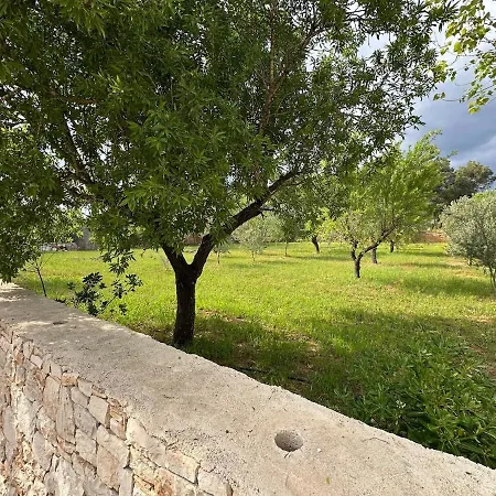 Tenuta Sillo - Ground Floor 公寓 Uggiano Montefusco